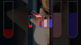 💧Sort it now! Best water sort puzzle games!
