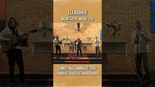 Christina Zurbr&uuml;gg Trio - ELLAIDHOO by Michael Hudecek