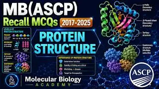 13. СЕКРЕТЫ СТРУКТУРЫ БЕЛКА, КОТОРЫЕ ПОЗВОЛЯЮТ УЗНАТЬ MB (ASCP) MCQ! 💥