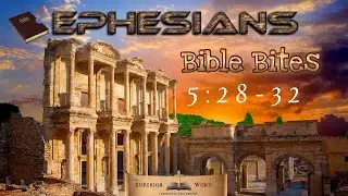 The Wife Is One Flesh With The Husband, Goes Back To Genesis