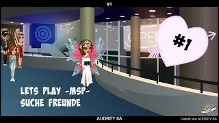 MSP freunde suchen