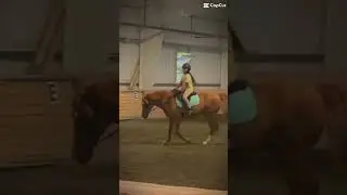 Bareback pad on phineas
