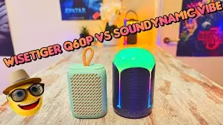 Wisetiger Q60P VS Soundynamic Vibe