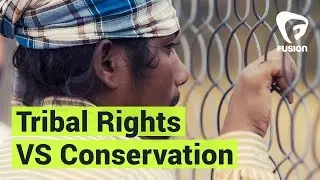 Conservation threatens India's Baiga tribe