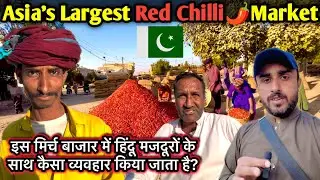 The real conditions of Hindu workers in Pakistan | Asia's Largest Chilli Market in kunri Sindh 🇵🇰