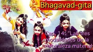 BHAGAVAD-GITA audiolibro en espa&ntilde;ol, cap. 14: 