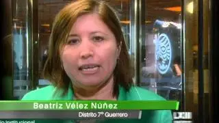 Dip. Beatriz V&eacute;lez N&uacute;&ntilde;ez (PRI)
