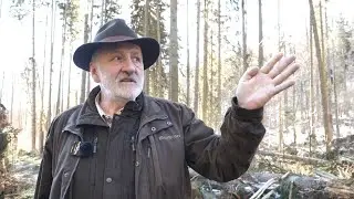 Boubín se vyrovnává s následky silného větru z konce roku 2023