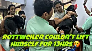 Rottweiler Malhar Scared Mom, Dad & Me From Morning | Emergency Vet Visit | WORST MORNING | Day-314