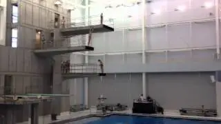 Greg performing a dive at Spring Championships
