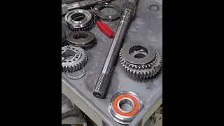 Why the Liberty is the strongest Stick Shift Transmission