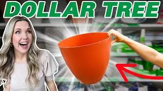 You'll never walk past these DOLLAR TREE planters again!