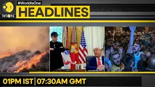 Trump Fires 'Close-Up Shop' Salvo At Musk | Istanbul: Clashes Over Alleged 'Prophet' Cartoon | WION