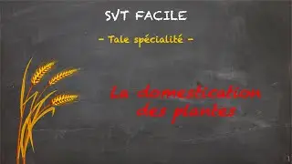 SVT FACILE - Tale spé. - La domestication des plantes