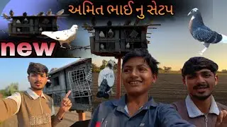 અમિત ભાઈ નું સેટપ //new setap//#pigeon#kabutar baji