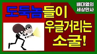 [배대열의 세상만사] 도둑놈들이 우글거리는 소굴!