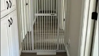 UVIPC  Extra Tall Cat Gate Wide Pressure Mounted Tall Gate Metal Black Dog Pet Cat Tall Gates Review