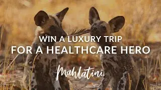 Win a LUXURY South Africa Trip For Your Healthcare Hero