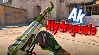 CS2 AK Hydroponic
