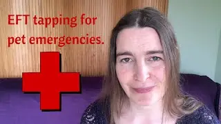 Using EFT tapping for a pet emergency