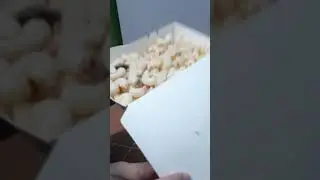 Frozen macaroni salad durable