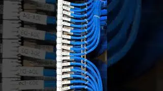 Electrical Cabinet DB Cable and Wire Dressing