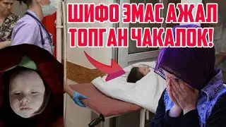 Шифохонада даво истаб АЖАЛ топган чақалоқнинг аянчли қисмати