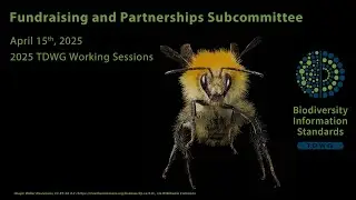 Fundraising and Partnerships Subcommittee 2025-04-15