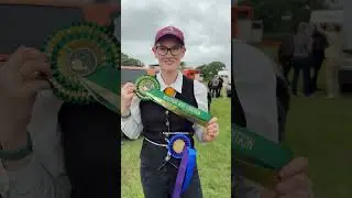 Young horse Leo&rsquo;s 5th horse show! #horse #equestrian #horseriding #shorts #arabian #horseshows