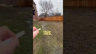 This Will Ruin Your Yard! | Naperville Landscapers