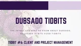 Dubsado Tidbit #6: Dubsado Features - Client and Project Management