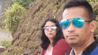 Adventure in Picnic Grove