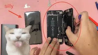 Silly girl replaces iPhone's screen (used genuine part)