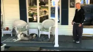 Dog in Ledyard attacked by rabid skunk