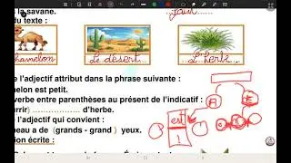 نموذج متوقع 💥 حل تقويم اللغة الفرنسية السنة الخامسة ابتدائي  بشرح رائع 