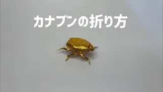 折り紙　カナブン　Origami Dronebeetle