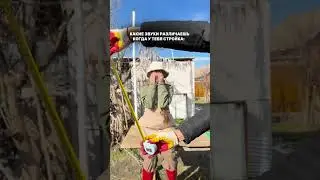 А вы бы РАЗЛИЧИЛИ? 🤔🔍