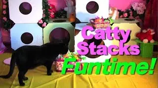 Catty Stacks Funtime for Cats