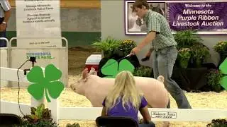Jackson Roll | Cottonwood County | Reserve Champion Purebred Yorkshire Barrow