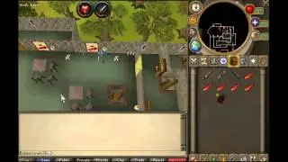 RS: Dragon Slayer- Melzar's Maze Guide