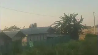 1 Bigha | ROAD-SIDE | LAND FOR SALE