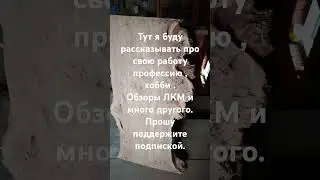 #shorts #mrbeast #sigma #деньги #бизнес #bmw #mercedes #roblox #ronaldo #ufc #wood #russia #moto