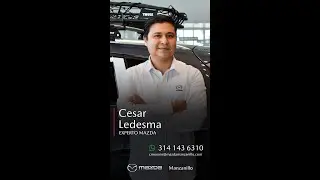 Estrena Auto, Asesor&iacute;a Personalizada