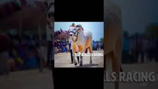 𝗗𝗩𝗥 మెమోరియల్ {💪ధీర 𝗳𝘂𝗹𝗹 𝘀𝗼𝗻𝗴} మన BSP BULLS Racing lo