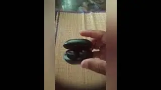 My new Leaf Dots 2 Ear Buds