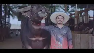 Sustainability at Thai Wah from 