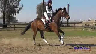 117XC Meg Pellegrini on Cici Top JR Training Cross Country FCHP February 2018