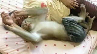 Smart Jason Hold Hand Mom Snuggle To Join Afternoon Nap
