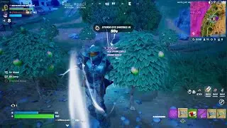 Bug