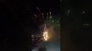 happy new year 2025/6 Newcastle